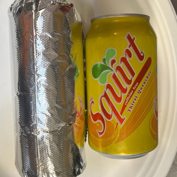 Dalia's Taqueria Mini Burrito